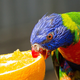 Image for article titled Color Isn't Always About Sex, Study Finds